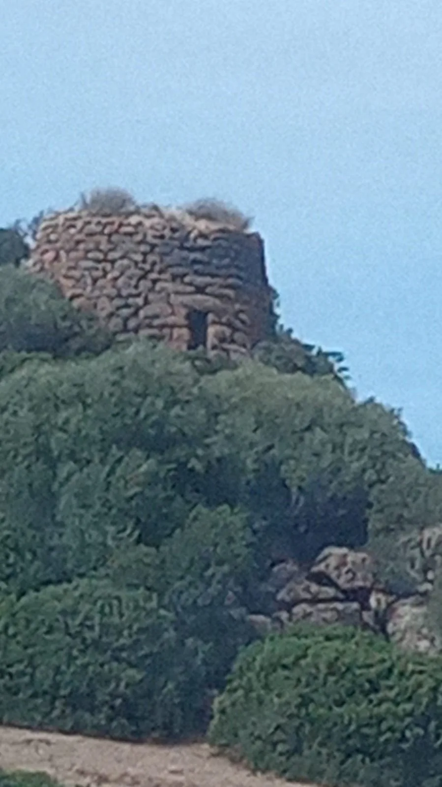 Un nuraghe in pietra affiora dalla macchia nella campagna intorno a Tula